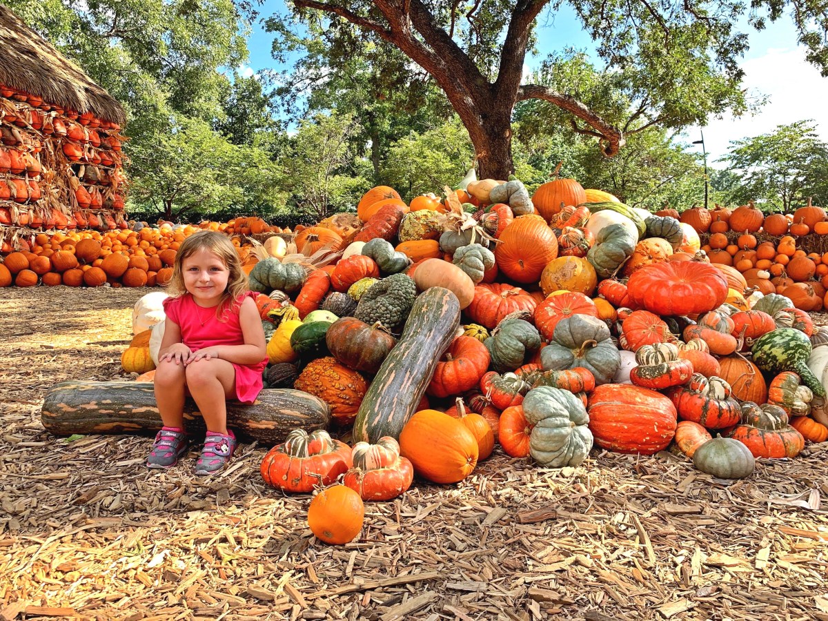 Dallas Arboretum, Dallas,&nbsp;Texas