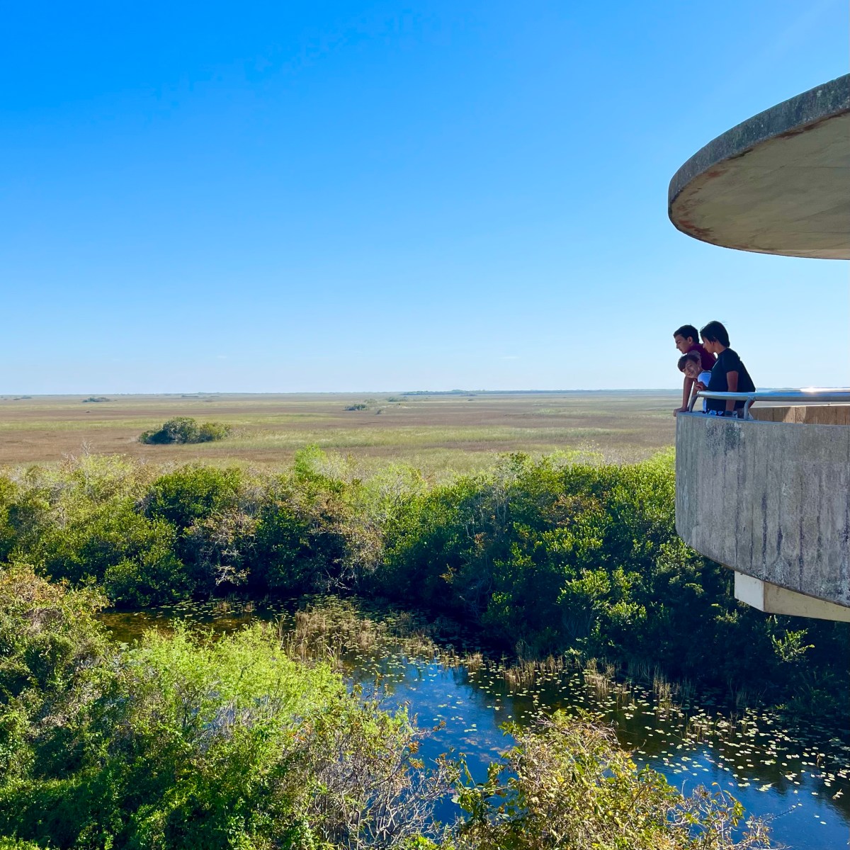 Shark Valley, Everglades National Park,&nbsp;Florida