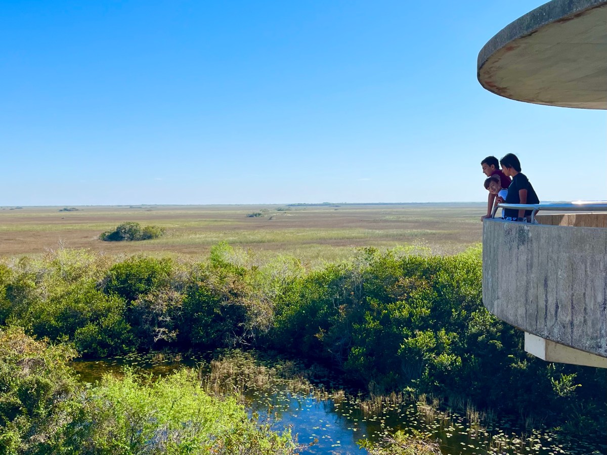 Shark Valley, Everglades National Park,&nbsp;Florida